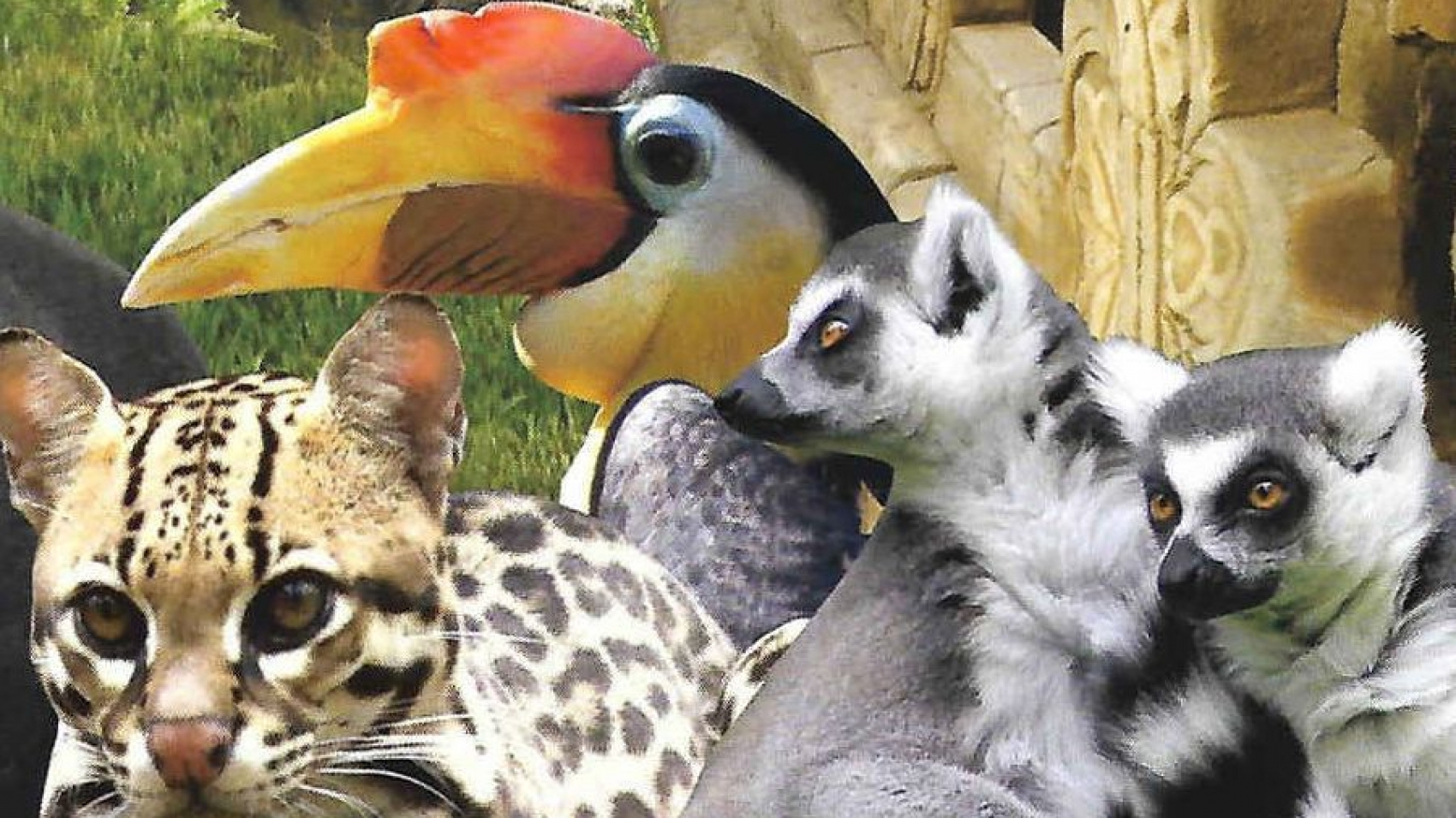 Zoo lagos 00